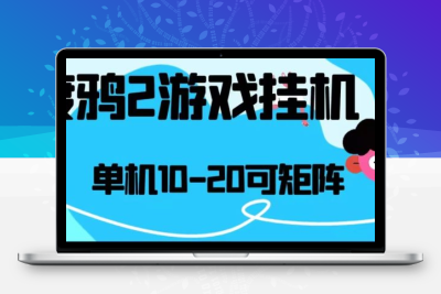 最新渡鸦2全自动挂机搬砖，无脑24小时单机日入80-150+